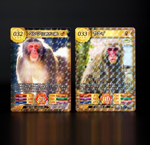 サルゲッチュ　トレーディングカード 高崎山トレーディングカード 第2弾 - オオイタドリップモール