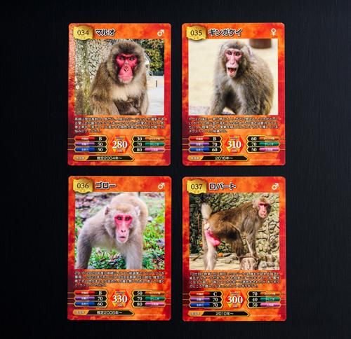 サルゲッチュ　トレーディングカード Amazon.co.jp: サルゲッチュトレーディングカード : おもちゃ