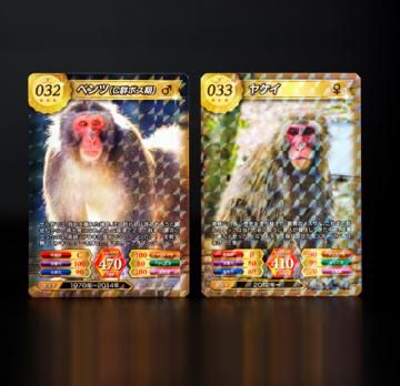 サルゲッチュ　トレーディングカード Amazon.co.jp: サルゲッチュトレーディングカード : おもちゃ