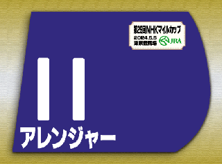 期間限定 ゼッケン販売