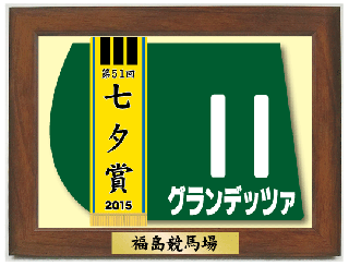 ڳ2015ǯ ǥåĥ