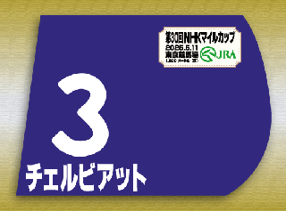 期間限定 ゼッケン販売