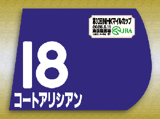期間限定 ゼッケン販売