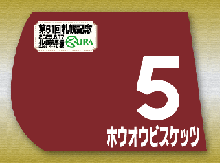 マイネルファンロン　実使用ゼッケン 2025年最新】Yahoo!オークション -実使用ゼッケン(ゼッケン)の