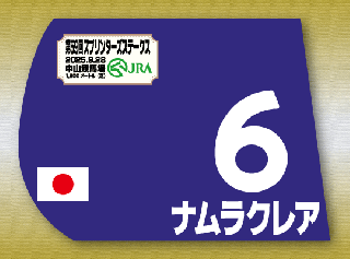 ダノンデサイル　2024 日本ダービー　出走馬ミニゼッケン Amazon.co.jp: 競馬ミニゼッケン ダノンデサイル 日本ダービー