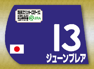期間限定 ゼッケン販売