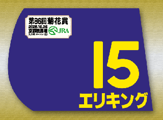 15 エリキング