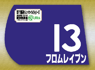 期間限定 ゼッケン販売