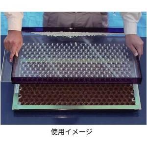 ポットシーダーcp300 ポットシーダー 播種板 CP300 2・3粒LL 長ネギ・小ネギ