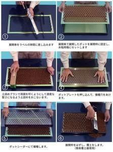 コピアポア　KPCLナンバー各種 98種類セット 各５粒ずつ 播種5点セットCP300LL 2.5粒播用 - ネギ参謀オンラインショップ