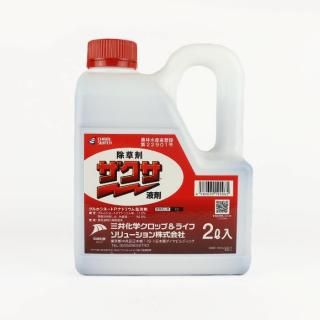 պ 2L