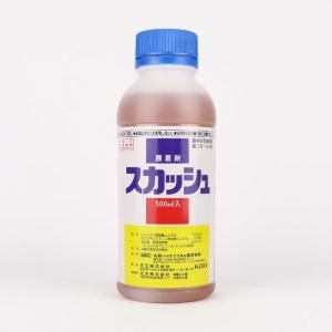スカッシュ 500ml - ネギ参謀オンラインショップ