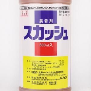 スカッシュ 500ml - ネギ参謀オンラインショップ