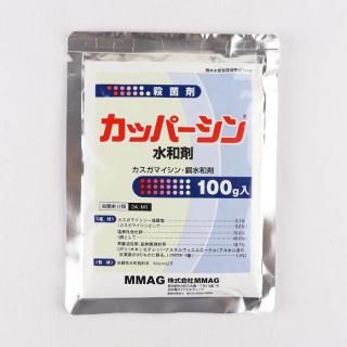ペンタキープ ハイパー5000 800ml ペンタキープHyper5000 光合成能力の増強に最適 イノチオアグリ