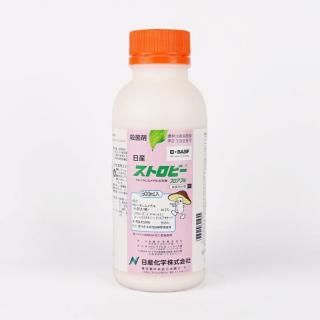 ȥӡե֥ 500ml