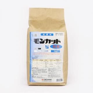 メーカー直送】冬扇シオン【サカタのタネ】 1dl - ネギ参謀