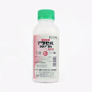ե֥ 500ml