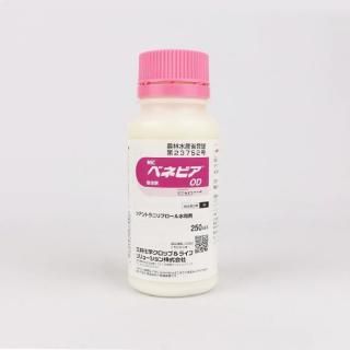 ٥ͥӥOD 250ml