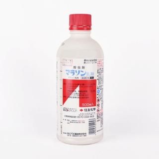 ޥ饽 500ml