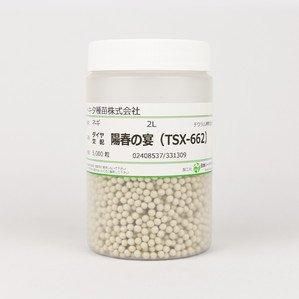 陽春の宴(TSX-662)【トキタ種苗】 コート5000粒 - ネギ参謀 陽春の宴(TSX-662)【トキタ種苗】 コート5000粒 - ネギ参謀