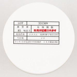 陽春の宴(TSX-662)【トキタ種苗】 コート5000粒 - ネギ参謀 陽春の宴(TSX-662)【トキタ種苗】 コート5000粒 - ネギ参謀