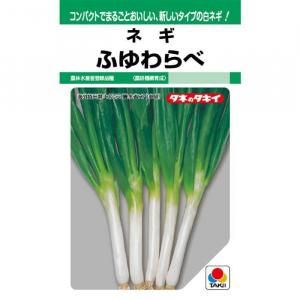 ネギ　項羽　5000粒　有効期限10月 ネギ 項羽 5000粒 有効期限10月 楽天市場】ネギ 関羽一本太 コート