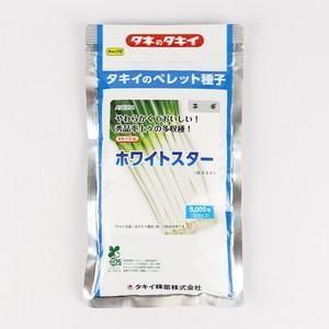 ネギ　関羽　5000粒　有効期限9月 関羽一本太【トーホク種苗】 コート5000粒 - ネギ参謀オンライン