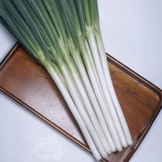 ڥ᡼ľۥۥ磻ȥڥġ 5000γ