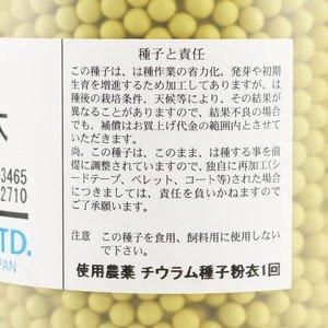 取り寄せ】羽生一本太【トーホク種苗】 コート5000粒 - ネギ参謀
