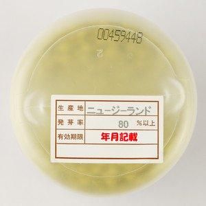取り寄せ】羽生一本太【トーホク種苗】 コート5000粒 - ネギ参謀