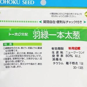 Amazon.co.jp: 〈5000粒〉ネギ種【 F1羽緑2号一本太 】トーホク