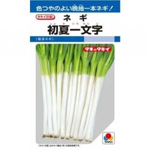 ネギ　初夏一文字　5000粒　有効期限４月 メーカー直送】初夏一文字 【タキイ種苗】 コート5000粒 - ネギ