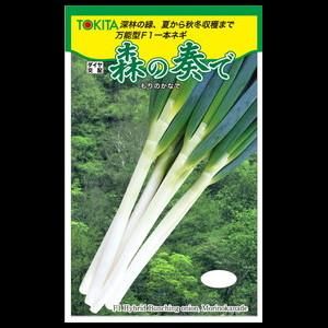 森の奏で【トキタ種苗】 コート5000粒 - ネギ参謀オンラインショップ 森の奏で【トキタ種苗】 コート5000粒 - ネギ参謀オンラインショップ