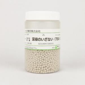 メーカー直送】深緑のいざない(TSX513)【トキタ種苗】 コート5000粒