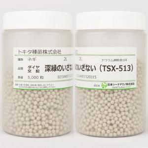 メーカー直送】深緑のいざない(TSX513)【トキタ種苗】 コート5000粒