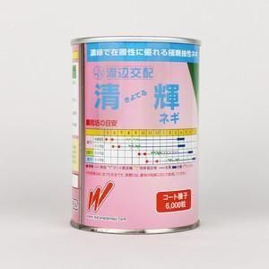 清輝【渡辺農事】 コート6000粒 - ネギ参謀オンラインショップ