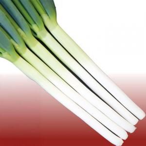 メーカー直送】太陽の祝い【トキタ種苗】 コート5000粒 - ネギ参謀