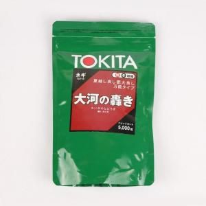 ネギ　大河の轟き　5000粒　有効期限バラバラ ネギ 大河の轟き 5000粒 有効期限バラバラ