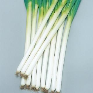 ڥ᡼ľ3ڥΥ͡  6000γ