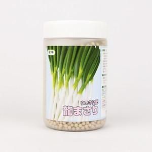 龍まさり【横浜植木】 コート6000粒 - ネギ参謀オンラインショップ