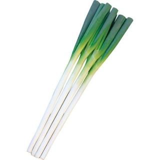 ڥ᡼ľϤζڥȥġ  1dl