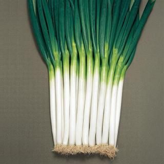 ڼ󤻡۴رڥȡۥġ 1dl