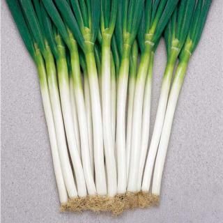 ڼ󤻡۱аڥȡۥġ 1dl