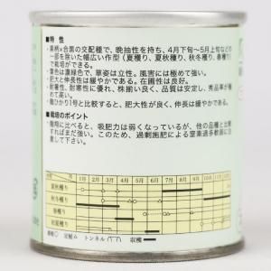 メーカー直送】龍ひかり2号【横浜植木】 1dl - ネギ参謀オンラインショップ