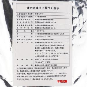 白根たすけ 1kg - ネギ参謀オンラインショップ