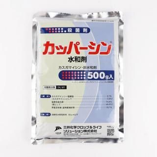 åѡº 500g