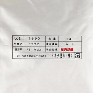 メーカー直送】陽春の宴(TSX-662)【トキタ種苗】 1dl - ネギ参謀