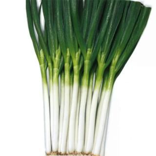 ڼ󤻡۱2ڥȡۥġ 1dl