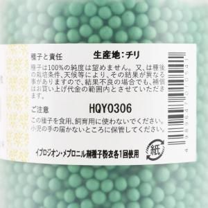 メーカー直送】夏柱(MKS-N43)【ヴィルモランみかど】コート6000