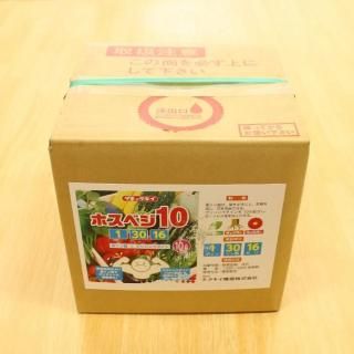 8/31ޤ̾5ۡڥ᡼ľۥۥ٥10 10L